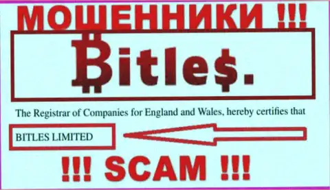 Руководством Битлес является организация - Bitles Limited