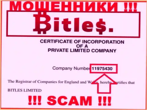 Регистрационный номер интернет мошенников Битлес Еу, с которыми довольно опасно взаимодействовать - 11975430