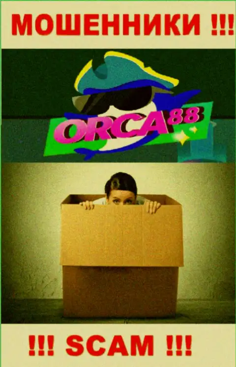 Начальство ORCA88 CASINO в тени, на их официальном web-портале этой инфы нет