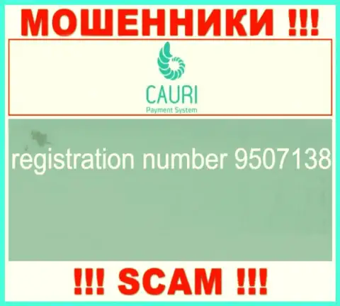 Регистрационный номер, принадлежащий противоправно действующей компании Каури - 9507138