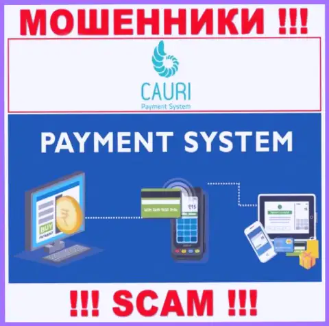 Мошенники Cauri, промышляя в сфере Payment system, обдирают доверчивых людей