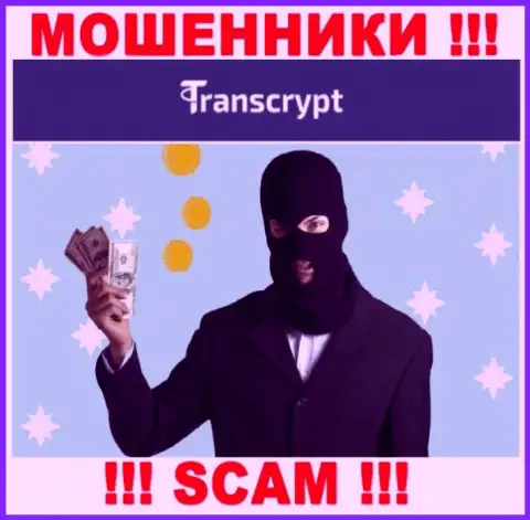 Довольно рискованно соглашаться связаться с компанией TransCrypt - опустошают кошелек