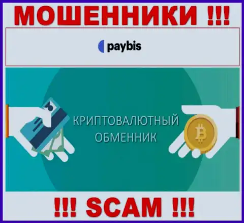 Crypto exchanger это тип деятельности преступно действующей компании PayBis