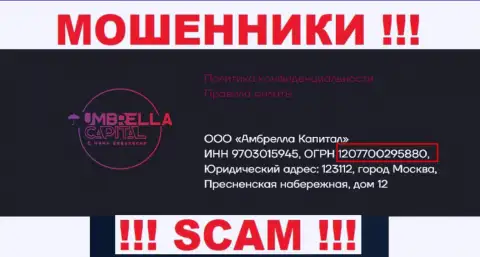 ООО Амбрелла Капитал internet-лохотронщиков Umbrella-Capital Ru зарегистрировано под этим регистрационным номером: 207700295880