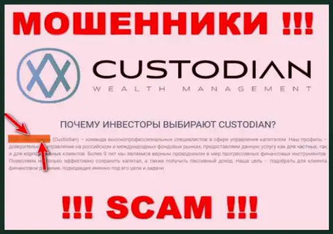 Юридическим лицом, владеющим аферистами ООО Кастодиан, является ООО Кастодиан