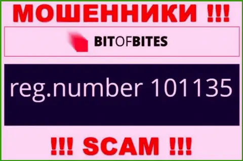 Регистрационный номер компании BitOfBites Com, который они показали на своем информационном портале: 101135