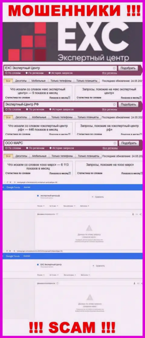 Статистика онлайн запросов по бренду Экспертный Центр РФ в глобальной сети internet