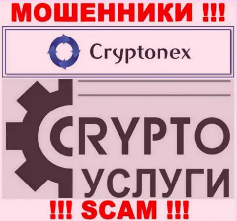 Сотрудничая с CryptoNex, область деятельности которых Крипто услуги, рискуете остаться без своих финансовых активов