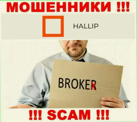 Направление деятельности интернет-кидал Hallip - это Брокер, но знайте это разводняк !!!