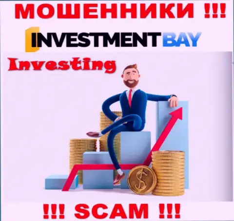 Не стоит верить, что область работы Investment Bay - Инвестиции законна - это надувательство