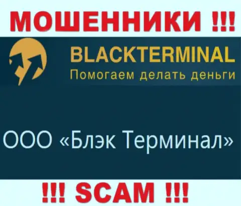 На официальном интернет-портале BlackTerminal отмечено, что юридическое лицо компании - ООО Блэк Терминал