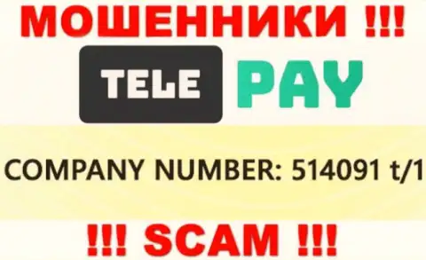 Регистрационный номер ТелеПай, который размещен мошенниками на их онлайн-ресурсе: 514091 t/1