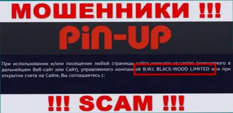 Ворюги PinUp Casino принадлежат юр лицу - B.W.I. BLACK-WOOD LIMITED