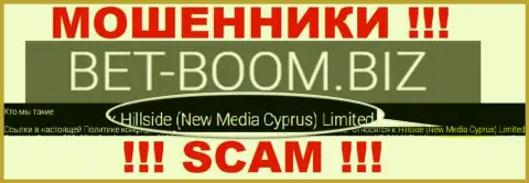 Юридическим лицом, управляющим мошенниками БэтБумБиз, является Hillside (New Media Cyprus) Limited