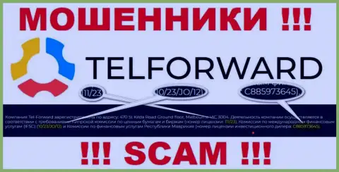 На сайте TelForward имеется лицензия на осуществление деятельности, но это не меняет их мошенническую суть