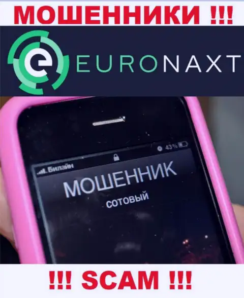 Вас хотят раскрутить на средства, EuroNax подыскивают новых наивных людей