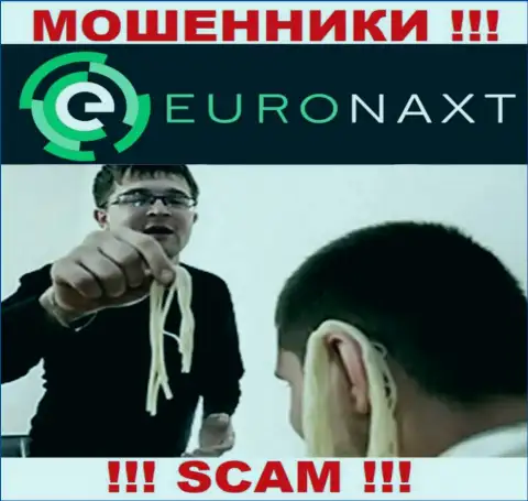 EuroNaxt Com намереваются раскрутить на совместное сотрудничество ? Осторожно, жульничают