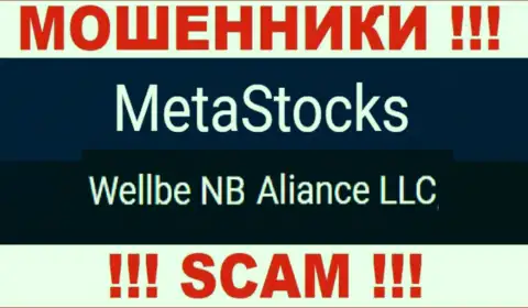 Юридическое лицо internet-мошенников MetaStocks это Wellbe NB Aliance LLC