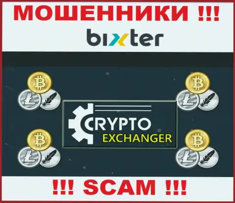 Bixter Org - это профессиональные internet-разводилы, тип деятельности которых - Криптовалютный обменник