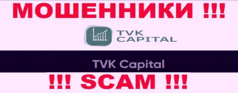 TVK Capital - это юридическое лицо internet-обманщиков TVK Capital