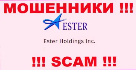 Данные о юр лице жуликов Ester Holdings