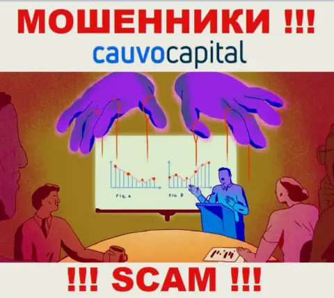 Рискованно соглашаться взаимодействовать с интернет мошенниками Cauvo Capital, крадут вклады