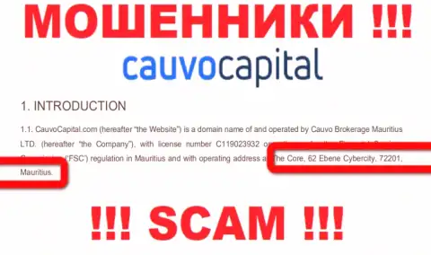 Невозможно забрать финансовые средства у CauvoCapital - они пустили корни в офшоре по адресу: The Core, 62 Ebene Cybercity, 72201, Mauritius