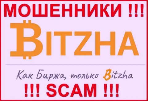 Bitzha - это ОБМАНЩИКИ ! Финансовые средства не возвращают !!!