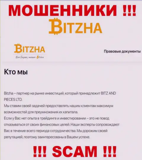 Bitzha24 - это наглые мошенники, сфера деятельности которых - Инвестиции