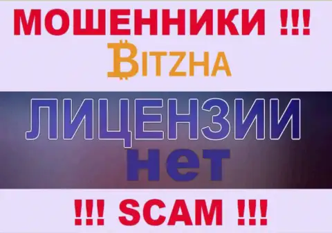 Ворюгам Bitzha24 Com не дали лицензию на осуществление их деятельности - сливают денежные активы