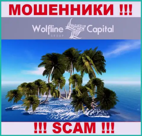 Мошенники Wolfline Capital LLC не публикуют достоверную информацию относительно своей юрисдикции