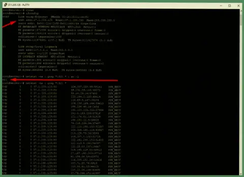 Подтверждение ДДоС атаки на сервер maximarkets.pro