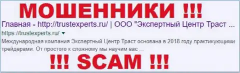 TrustExperts Ru - это МОШЕННИКИ !!! SCAM !!!