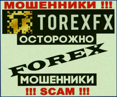 Сфера деятельности Torex FX: Forex - хороший заработок для internet-мошенников