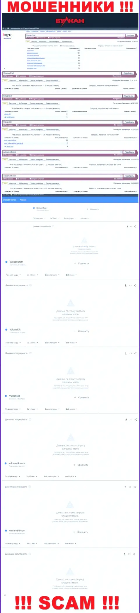 Статистические показатели бренда Вулкан Элит, какое число поисковых запросов у указанной компании