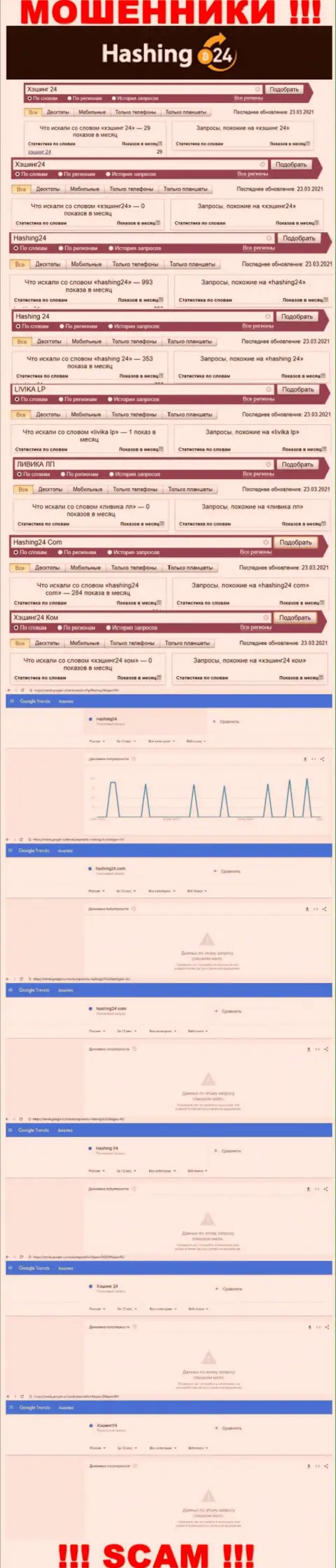 Анализ поисковых запросов по махинаторам Хэшинг 24 в инете