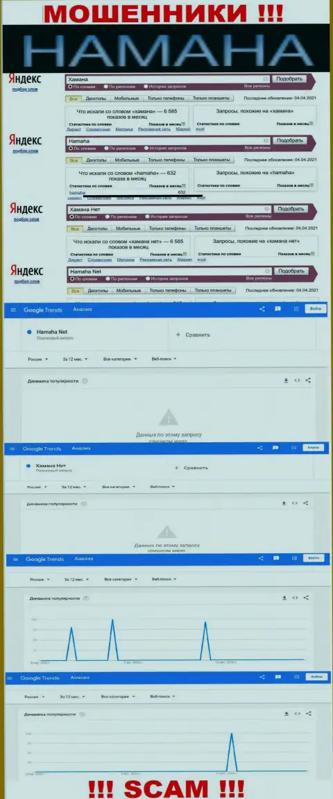 Online запросы по бренду мошенников Хамана Нет в поисковиках всемирной internet сети