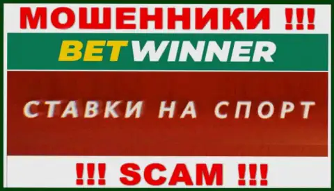 Букмекер - это направление деятельности, в которой жульничают Бет Виннер