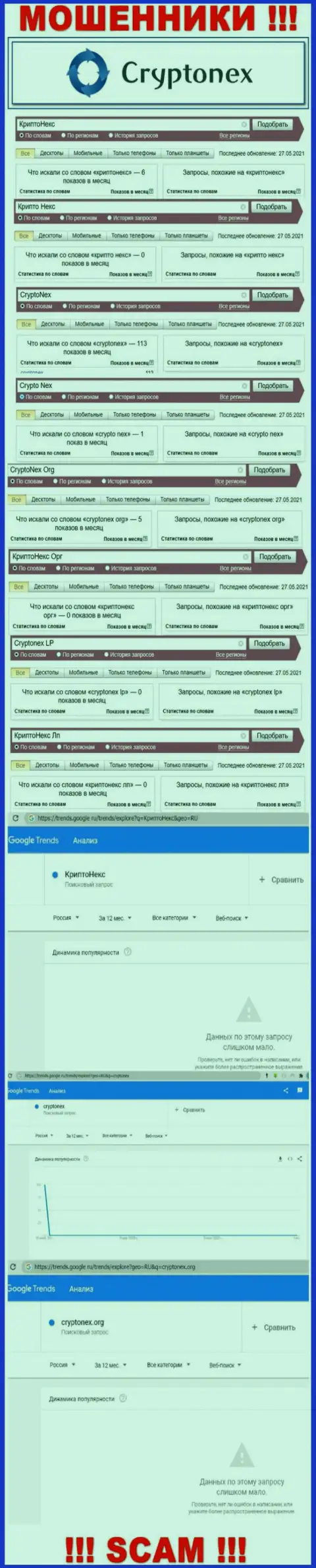Статистические показатели запросов по бренду CryptoNex Org