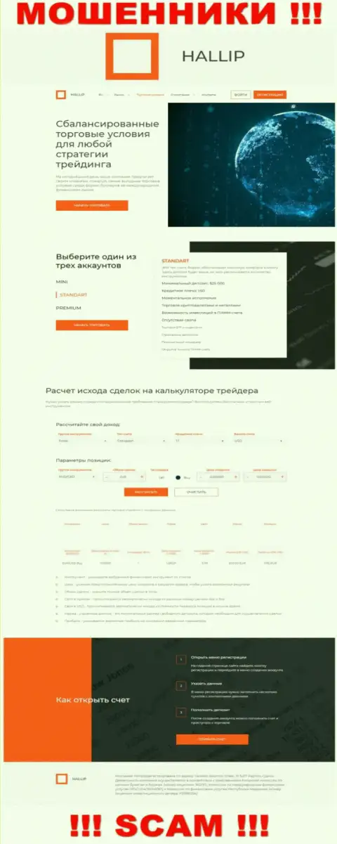 Так выглядит официальное лицо интернет-аферистов Hallip Com