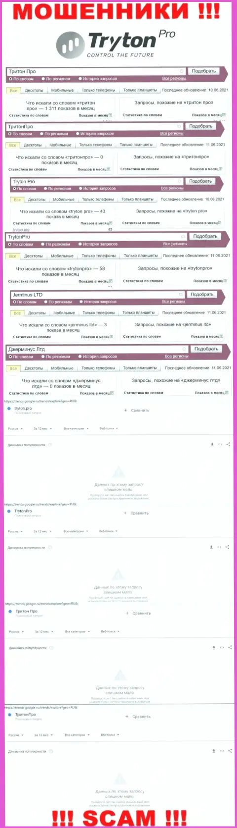 Статистические данные бренда Тритон Про, какое количество online-запросов у указанной компании