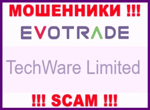 Юридическим лицом ЭвоТрейд считается - TechWare Limited