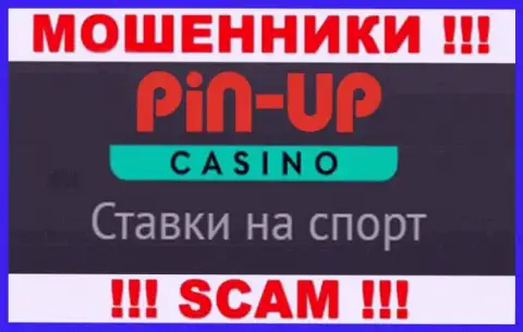 Основная работа PinUpCasino - это Казино, будьте крайне осторожны, работают противозаконно