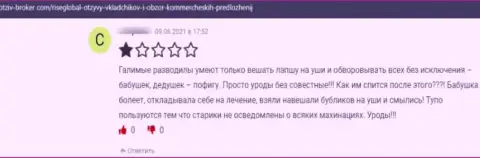 В РисеГлобал промышляют облапошиванием наивных клиентов это ОБМАНЩИКИ ! (отзыв)