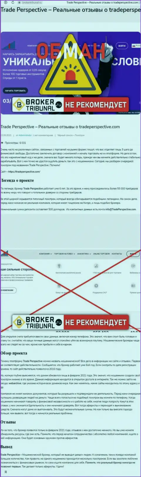 ТрейдПерспектив Ком это МОШЕННИК !!! Анализ условий совместного сотрудничества