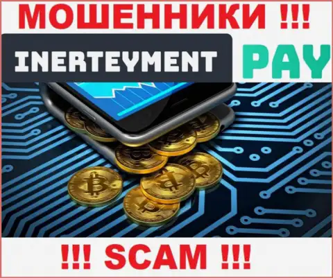 Вид деятельности InerteymentPay: Система платежей - отличный доход для интернет лохотронщиков