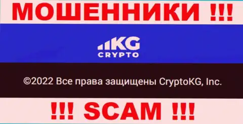 CryptoKG, Inc - юридическое лицо internet мошенников организация CryptoKG, Inc