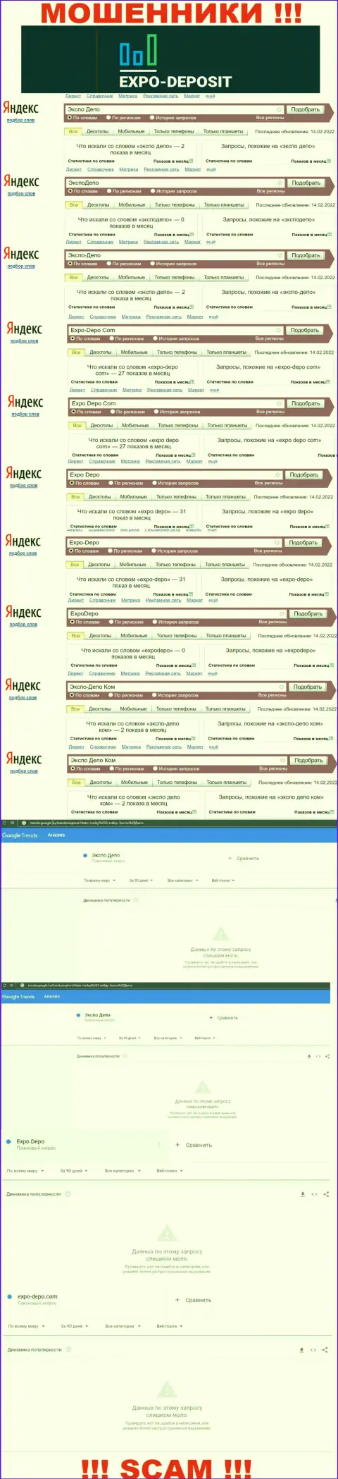 Сколько раз интересовались мошенниками Expo-Depo в поисковиках сети Интернет ?