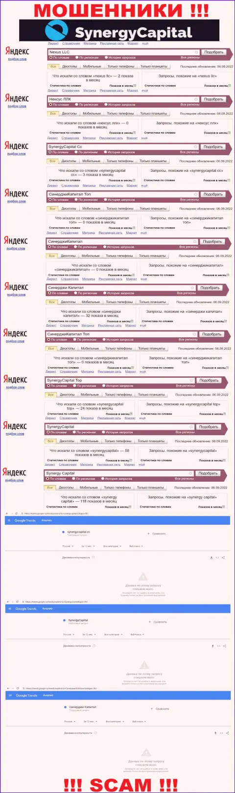 Статистические данные online-запросов по бренду SynergyCapital в интернете