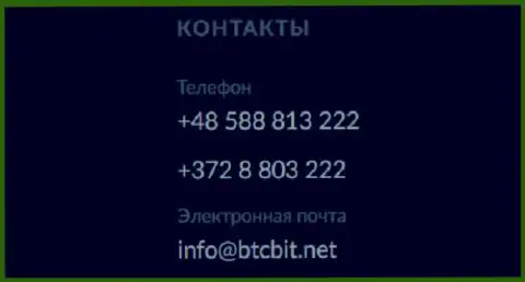 Телефон и адрес электронной почты обменки БТКБит Нет